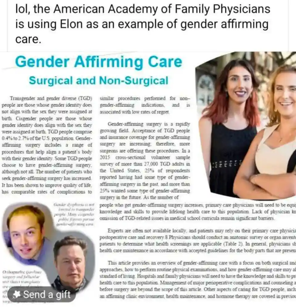 The image shows a page from a medical guide titled 'Gender Affirming Care Surgical and Non-Surgical' with text defining…