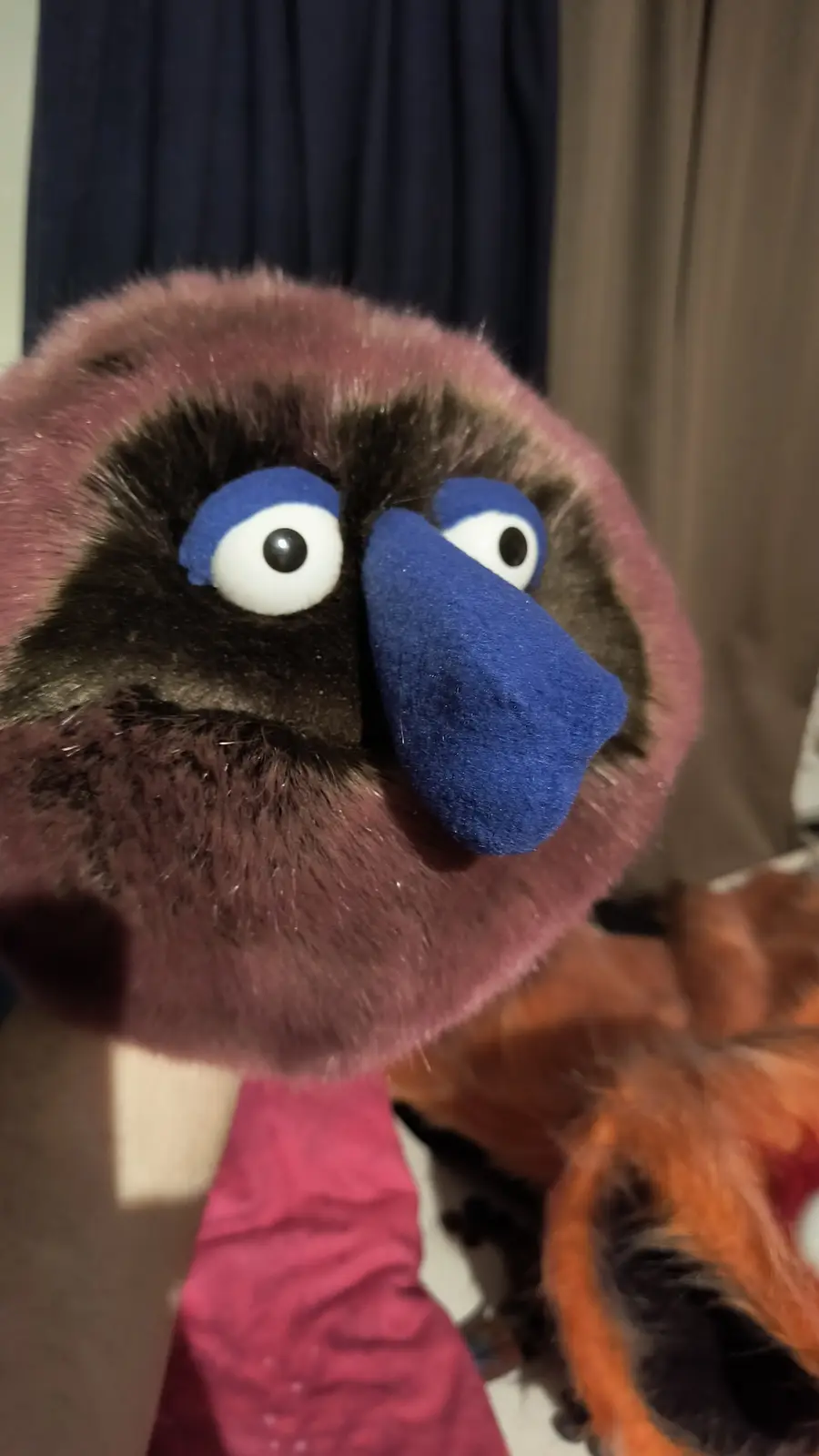 A close-up photo shows a furry puppet with a round pinkish-brown head, dark brown fur around its eyes, large blue felt eyes…