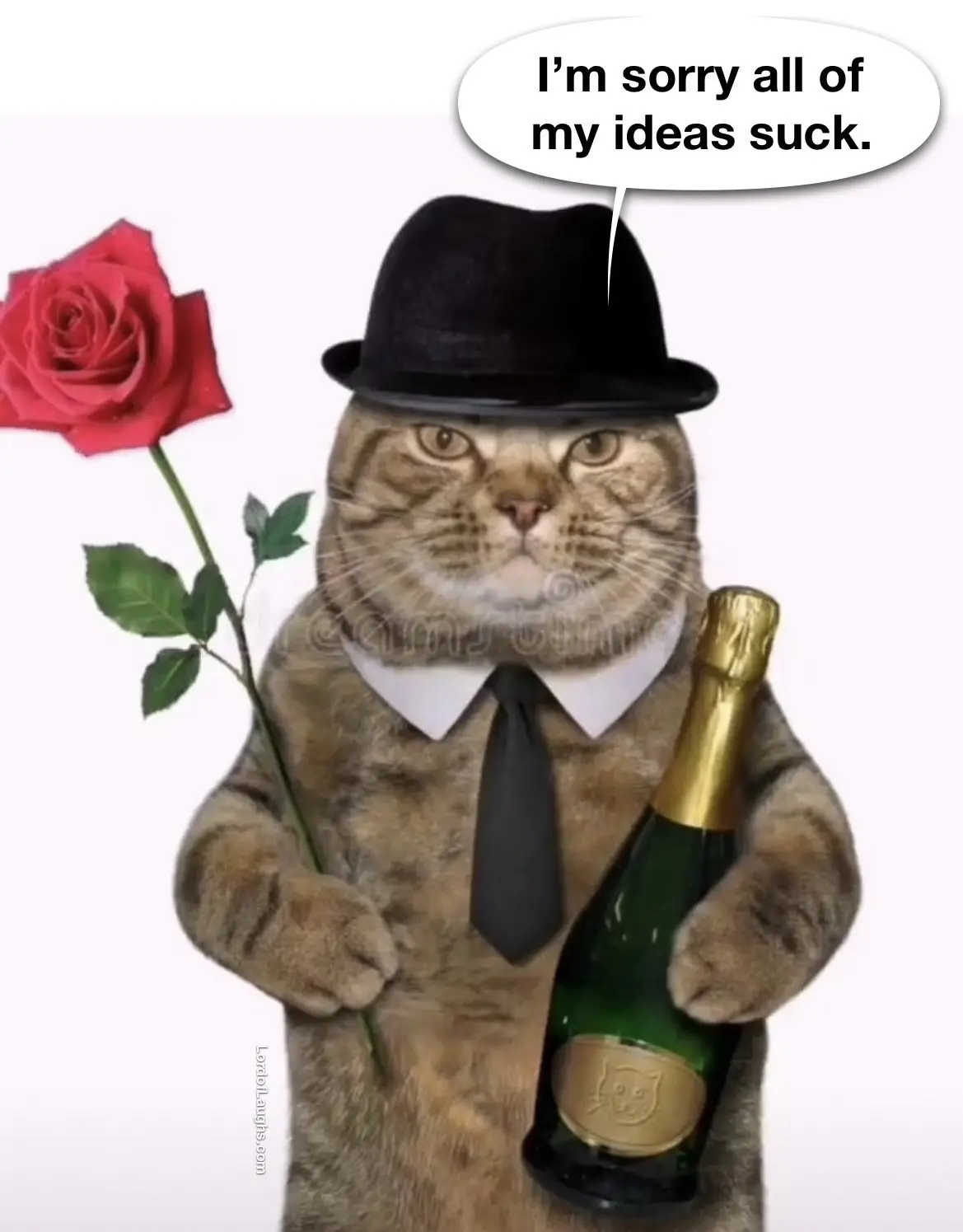 A tabby cat dressed in a black bowler hat, white collared shirt, and black tie, holding a red rose in one paw and a green…