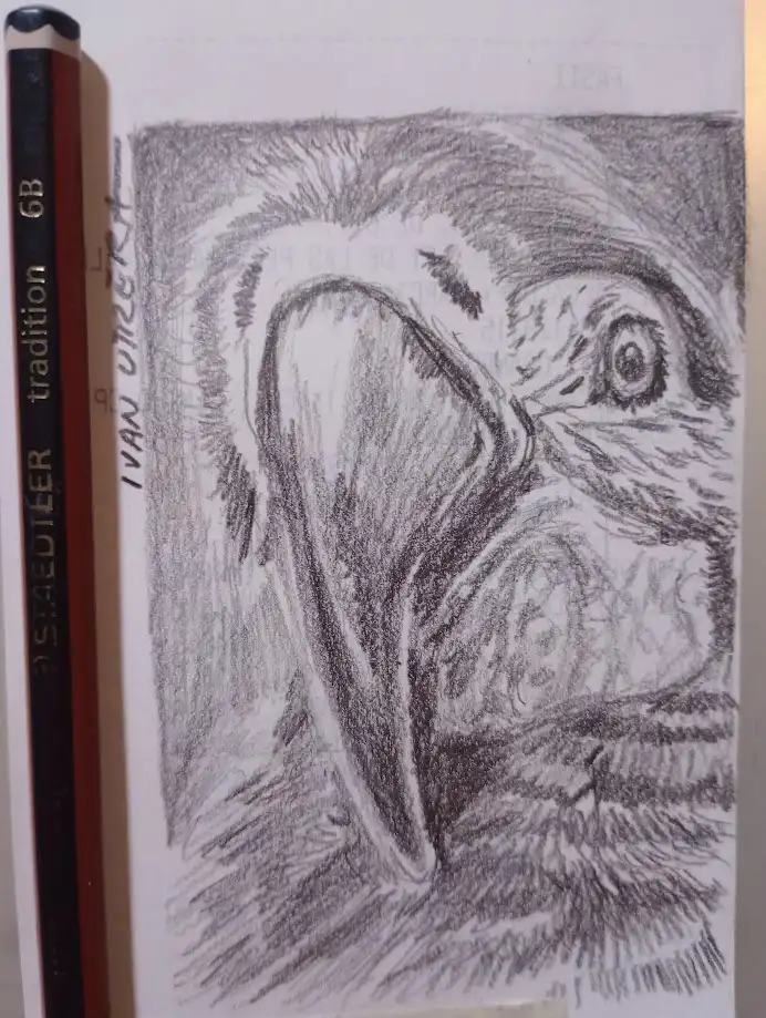 Artistic sketch in progress
