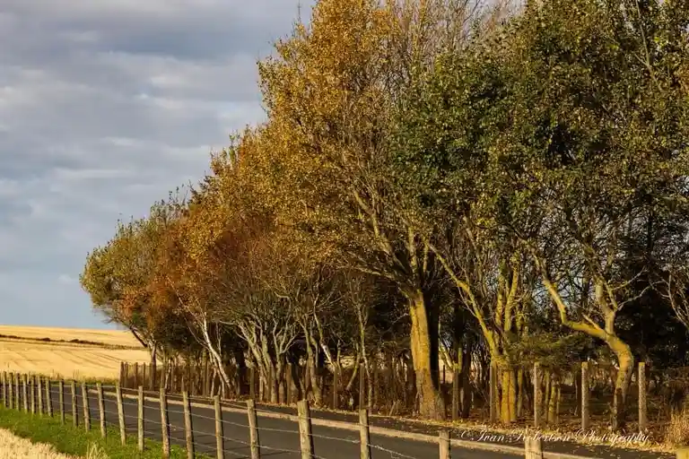 Enjoying a scenic drive through the countryside