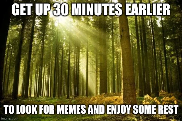 A serene forest scene with tall trees and sunlight streaming through the canopy. White bold text at the top reads 'GET UP 30…