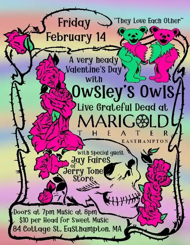 A psychedelic poster for a Valentine's Day concert on February 14, featuring two cartoon bears holding a heart, pink roses…