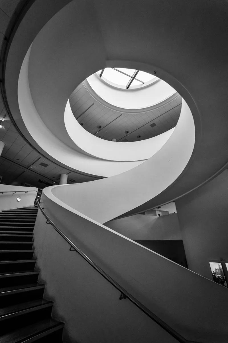 The Captivating Twists of the Spiral