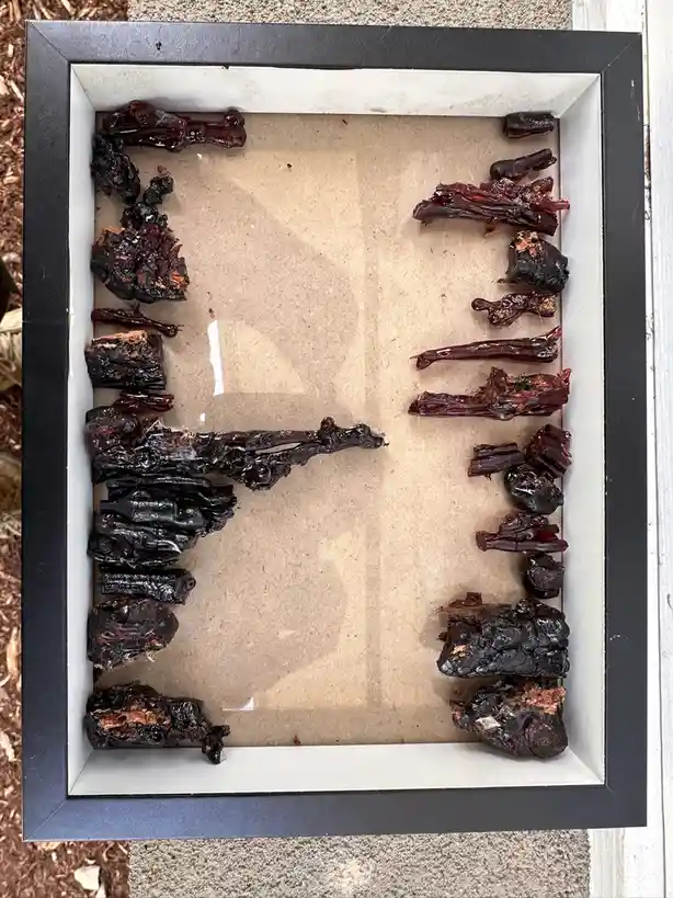 A black-framed shadow box contains various pieces of dark, glossy beef jerky arranged to form the shape of a human figure…