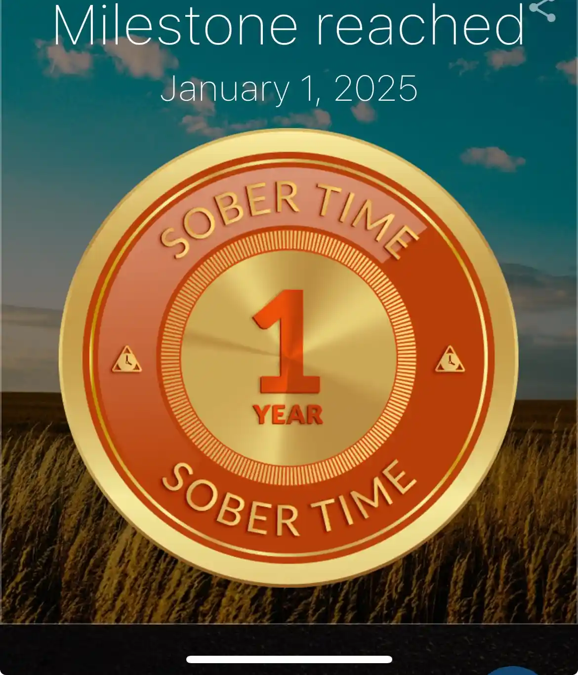 A digital badge celebrating one year of sobriety, displayed over a field under a cloudy sky. The circular gold and orange…