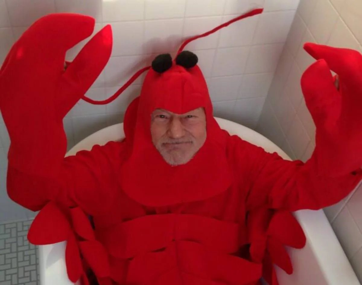 A man with a gray beard is sitting in a white bathtub, wearing a full-body red lobster costume complete with claws…
