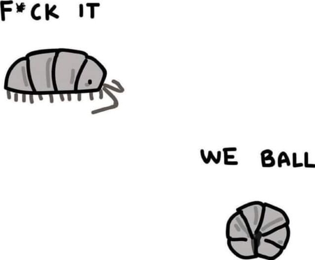 A simple black-and-white cartoon shows a pill bug (woodlouse) on the top left with the text 'F*CK IT' above it, and a…