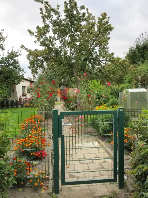 A green metal gate with a house number 7 on its post stands open in a lush garden filled with vibrant orange marigolds, red…