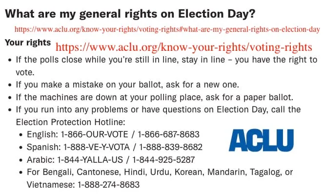 Navigating the Chaos of Election Day