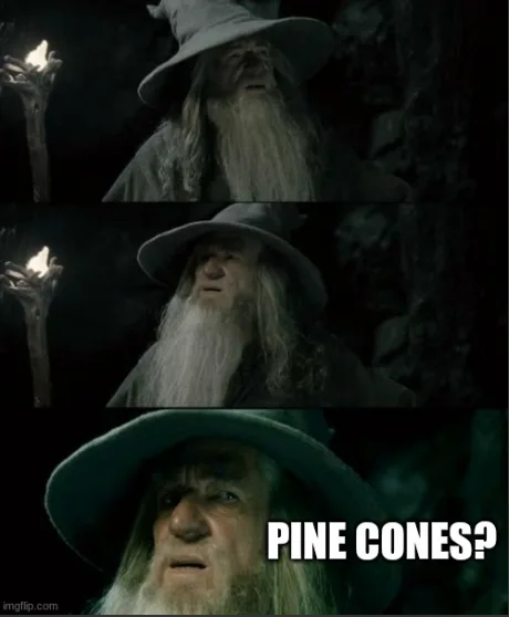 Three-panel meme featuring Gandalf the Grey from Lord of the Rings, showing his expression shifting from thoughtful to…