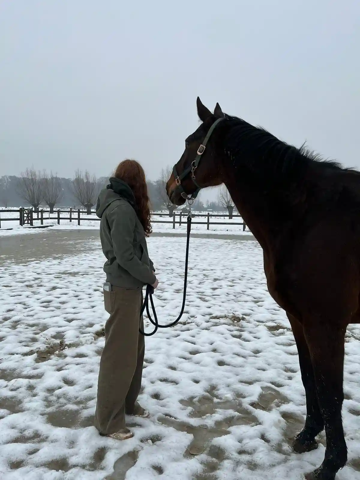 A person with long red hair, wearing a green hoodie and brown pants, stands in a snowy, muddy paddock holding the reins of a…