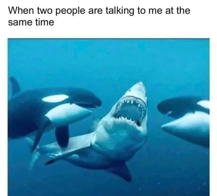 Absolutely unbearable!