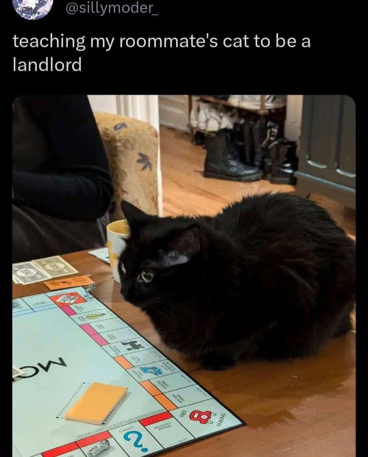 A black cat sits on a wooden floor next to a Monopoly game board, looking intently at the board. A person in a black shirt…