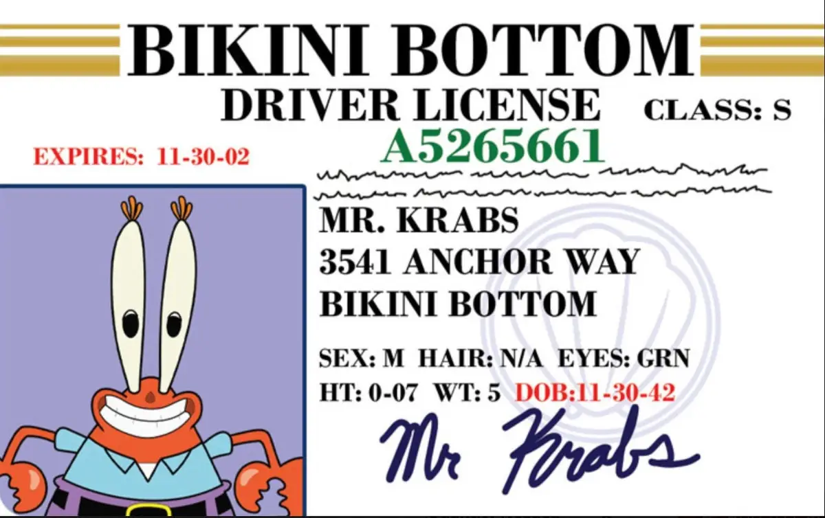 A fictional driver's license from Bikini Bottom features Mr. Krabs, a cartoon crab, in a photo ID. The license includes his…