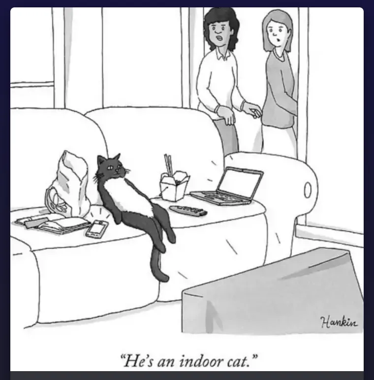 Pre-Tariff Phone Dump: A Feline Showcase