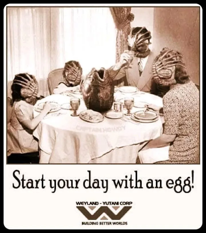 A Protein Paradise Awaits!