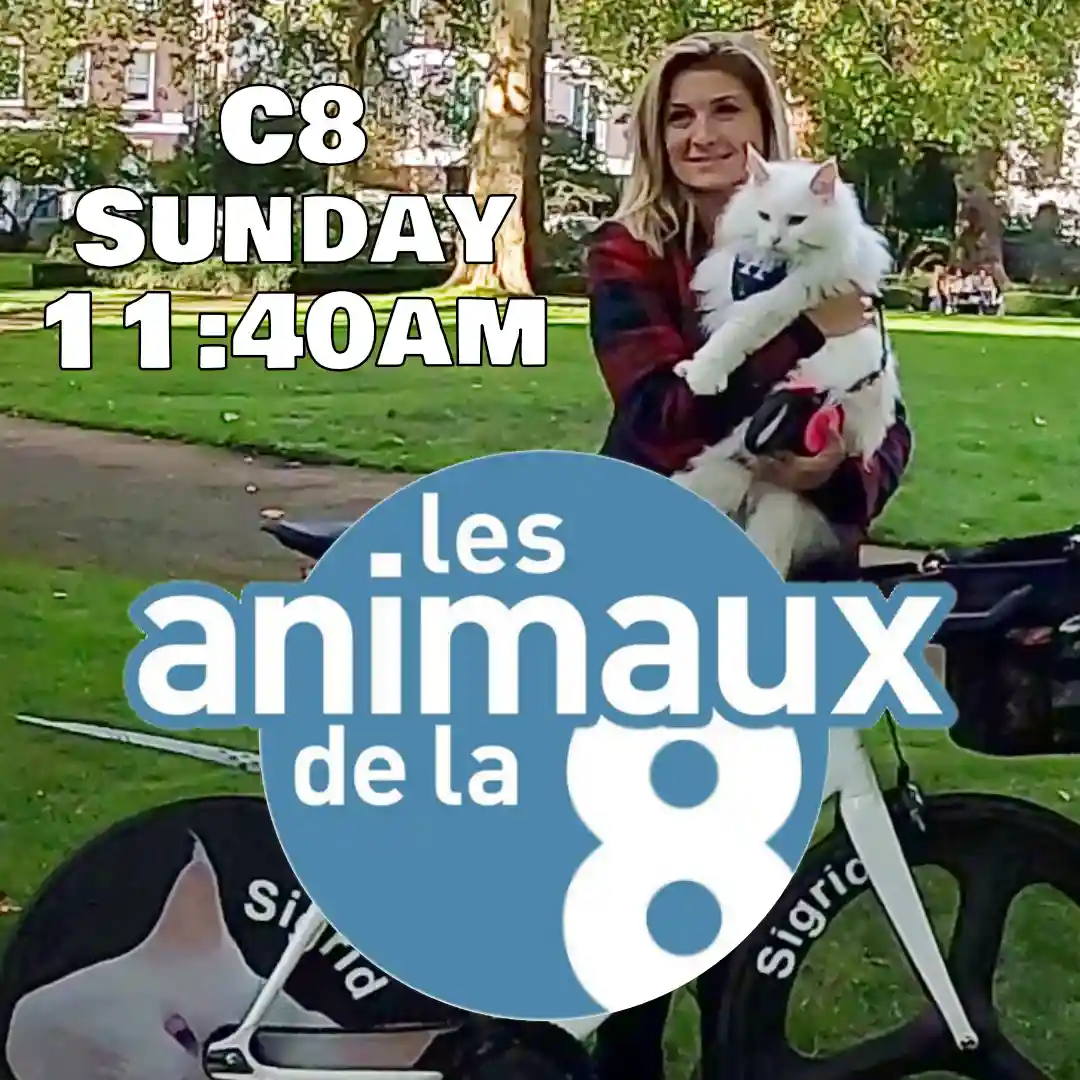 A woman in a plaid shirt holds a fluffy white cat while standing next to a bicycle in a park. Large white text in the upper…
