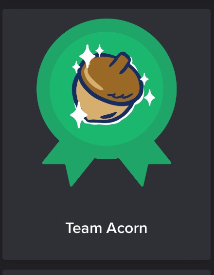 A green circular badge with a cartoon acorn icon and sparkles, with the text 'Team Acorn' below it. The badge resembles a…