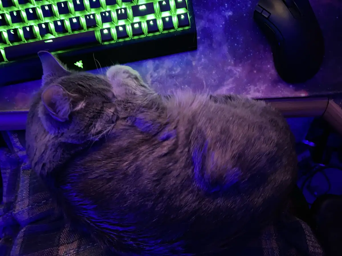 A gray tabby cat is curled up and sleeping on a desk next to a glowing green mechanical keyboard and a black mouse on a…