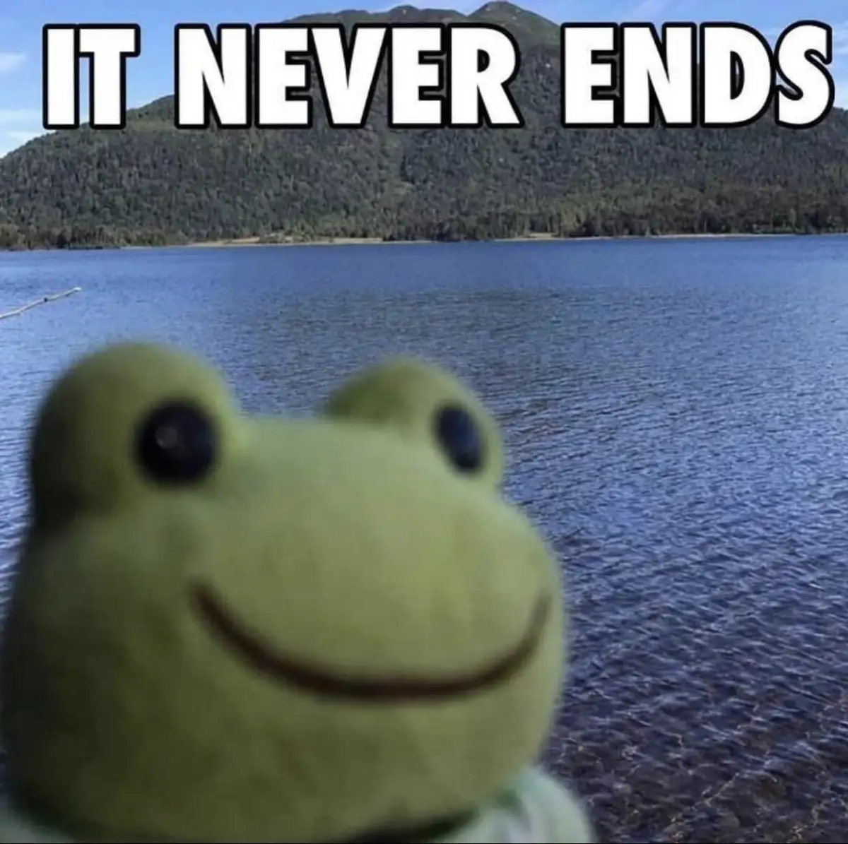 A close-up, slightly blurry image of a green plush frog with a wide, smiling mouth and large black eyes, positioned in the…