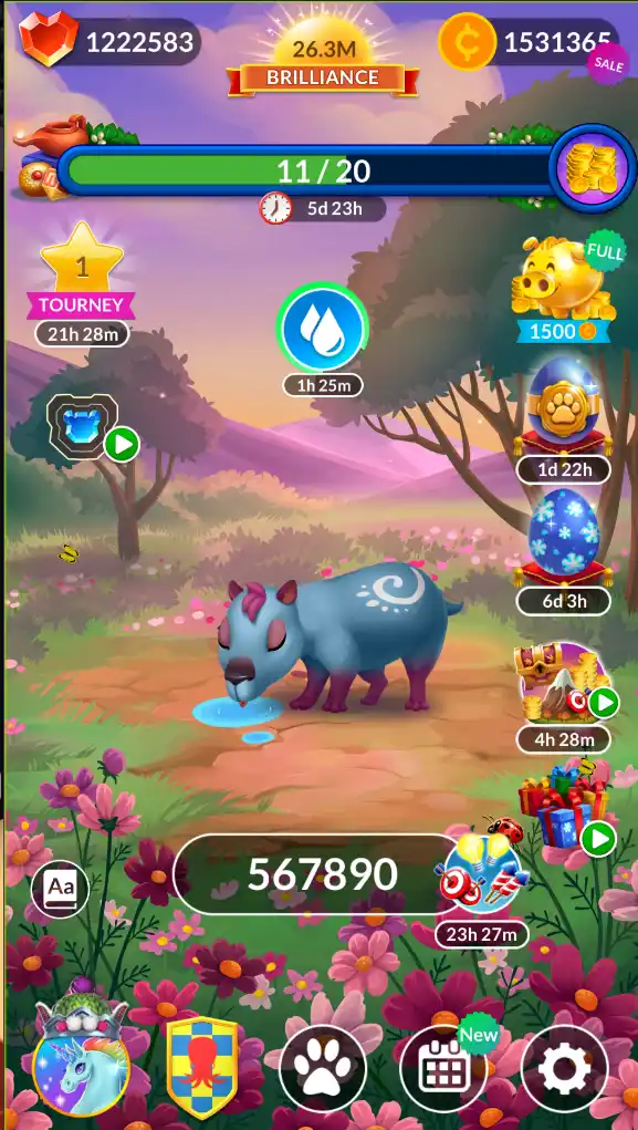Finally Achieved a Straight Record!