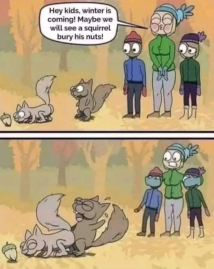 Two-panel cartoon showing three children in winter clothes watching squirrels. In the top panel, a child says, 'Hey kids…