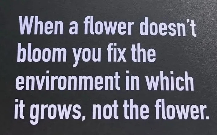 A dark gray textured background displays white sans-serif text that reads: 'When a flower doesn't bloom you fix the…