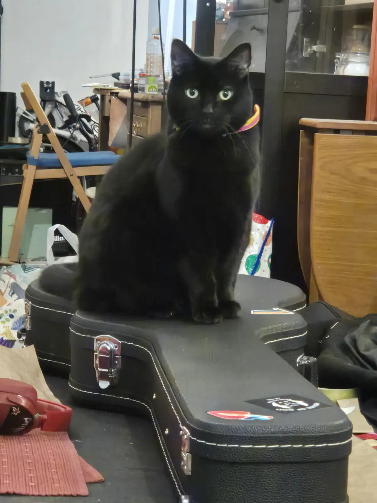 A black cat with bright green eyes and a colorful collar sits upright on a black guitar case in a cluttered room. The cat…