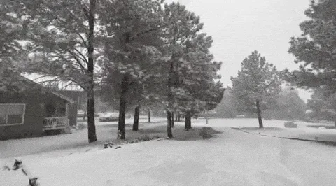 A black-and-white sequence of six frames shows a snowy landscape with pine trees and a house, gradually revealing a person…