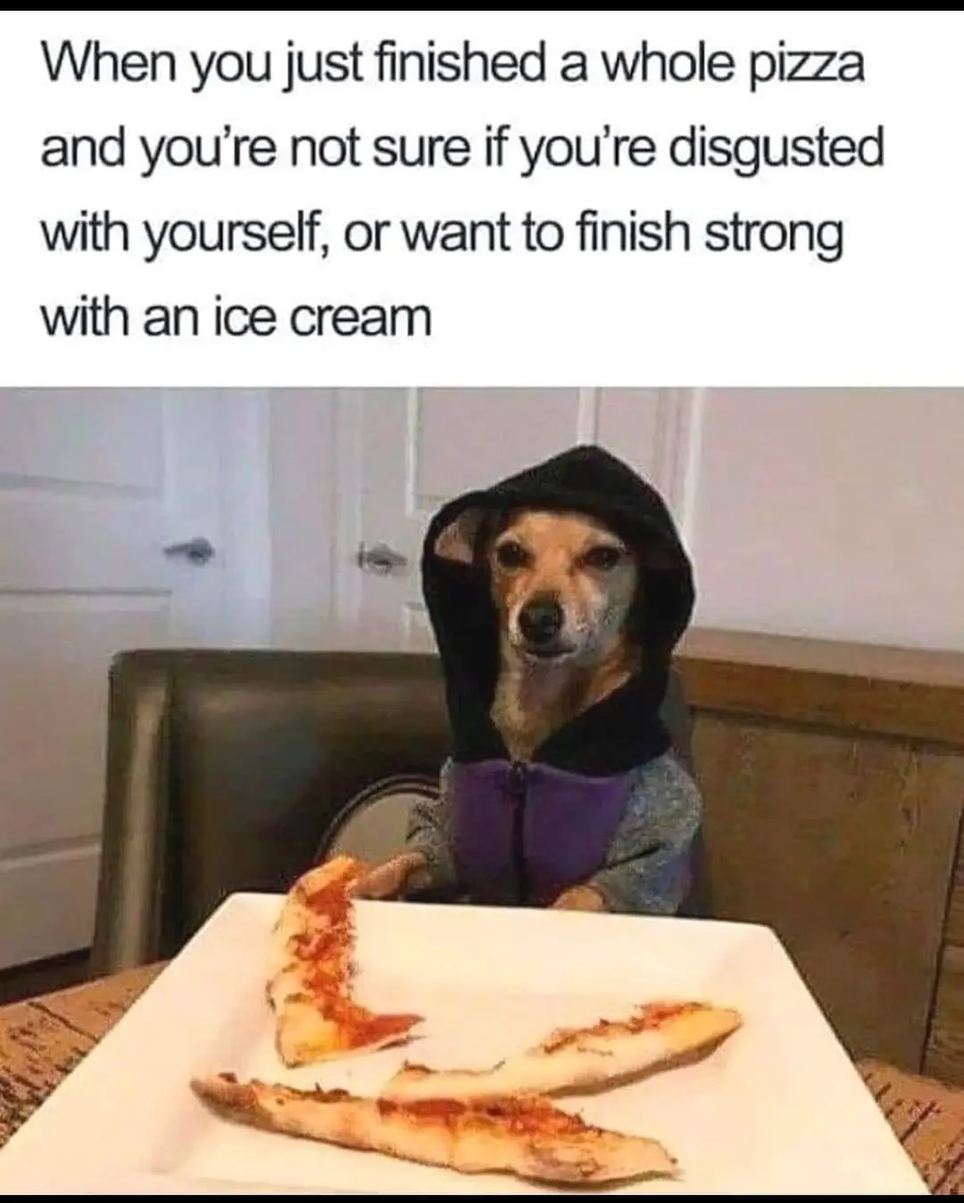 A small dog wearing a black hooded sweatshirt and a purple vest sits at a table, looking directly at the camera with a…