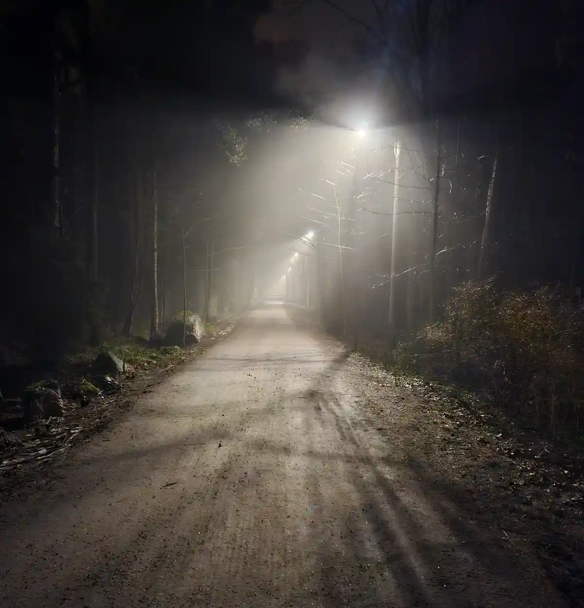 A Dreamy View of Hazy Paloheinä in Helsinki