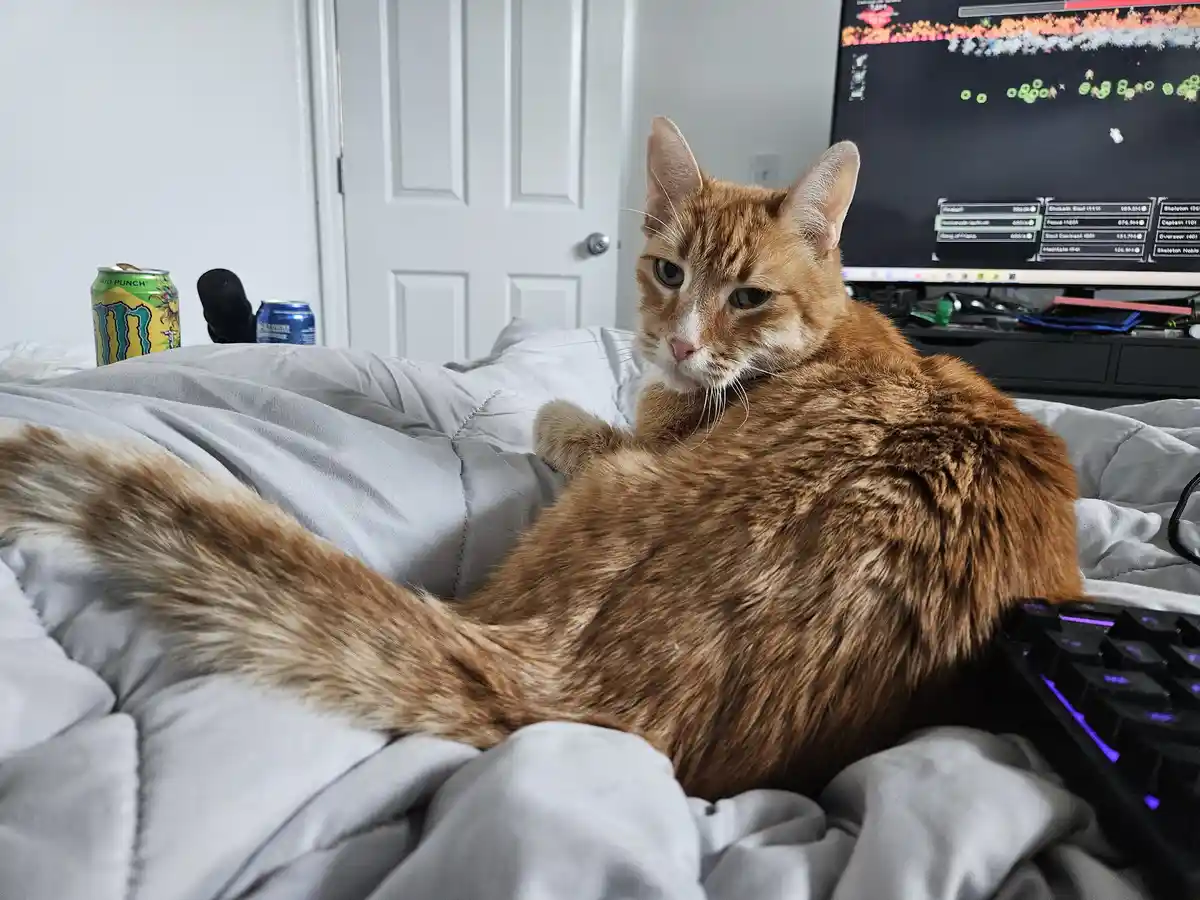 An orange tabby cat lounges on a bed with a bored, unimpressed expression, positioned next to a gaming keyboard and monitor…