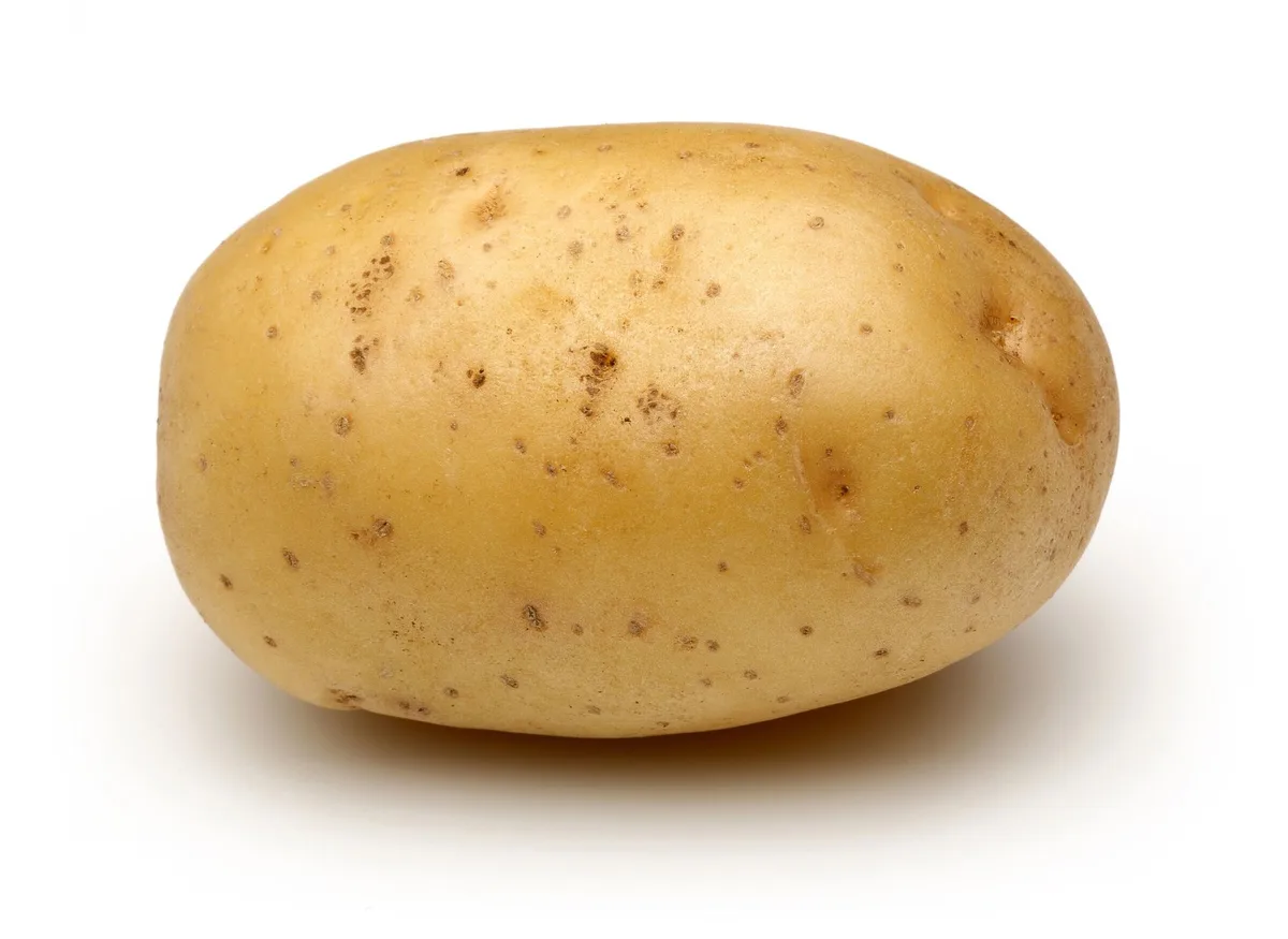 A single, unblemished potato with light brown skin and small indentations sits centered on a plain white background. The…