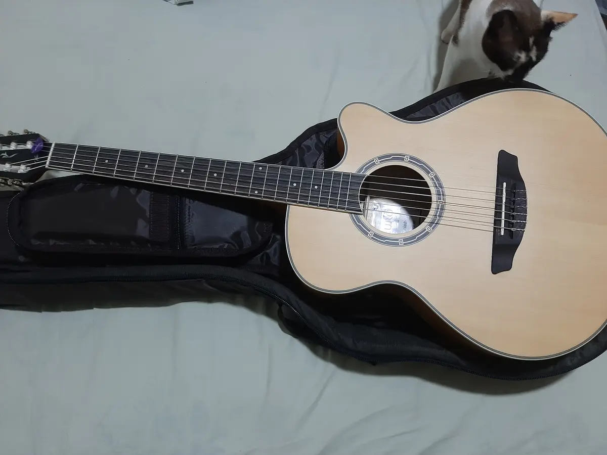 An acoustic guitar rests in its black case on a white surface, with a brown and white cat sitting nearby looking at the…
