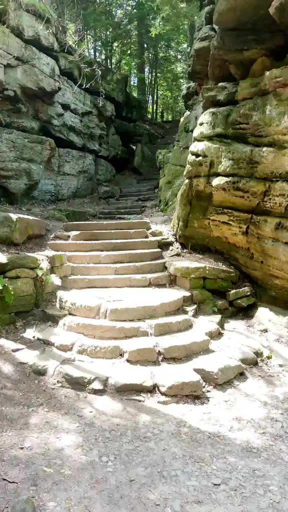 A sunlit photo shows a winding stone staircase ascending through a forested canyon with mossy rock walls on either side. The…