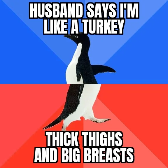 A penguin stands centered against a blue and red background, split horizontally. The top half has text reading 'HUSBAND SAYS…