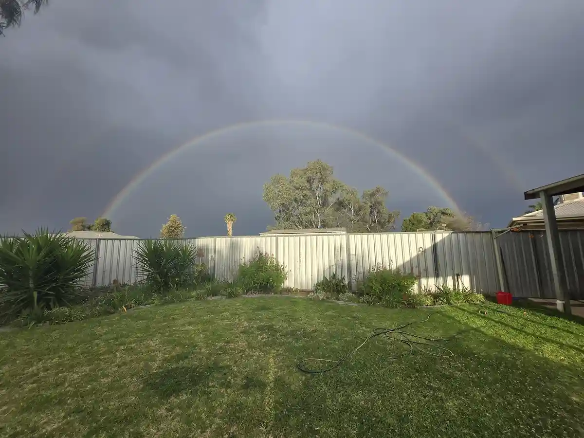 A backyard with a green lawn, a metal fence, and various plants under a dark, stormy sky. A bright, full rainbow arcs across…