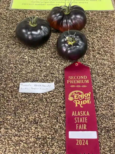 Three glossy black tomatoes sit on a textured brown carpet next to a handwritten label identifying them as 'Tomato - Black…