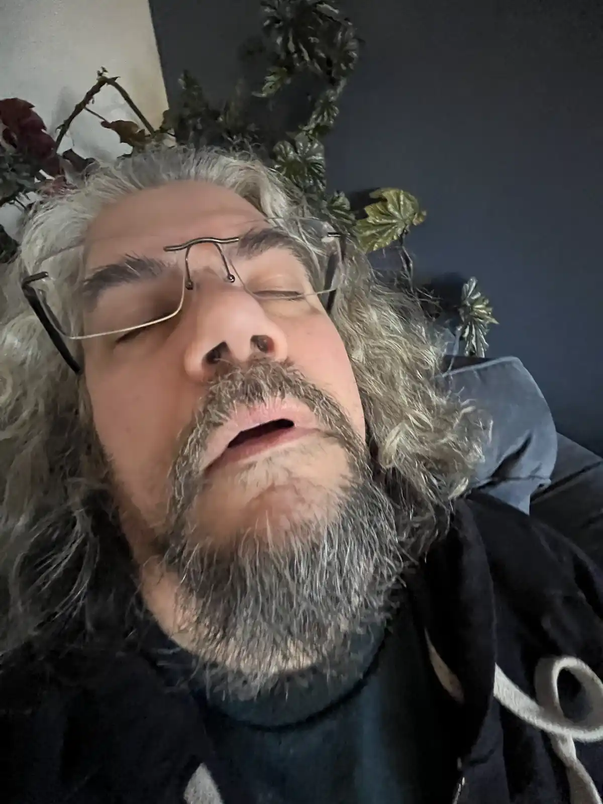 The Turkey Coma is Real!