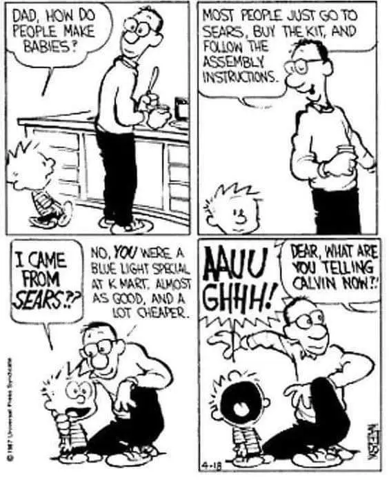 A four-panel Calvin and Hobbes comic strip where Calvin asks his dad how babies are made. The dad humorously replies that…