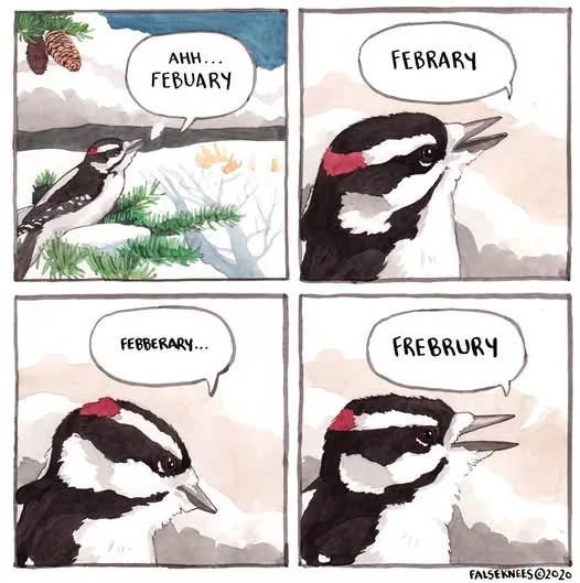A four-panel comic strip featuring a cartoon woodpecker in a snowy landscape. In the first panel, the bird exclaims 'AHH…