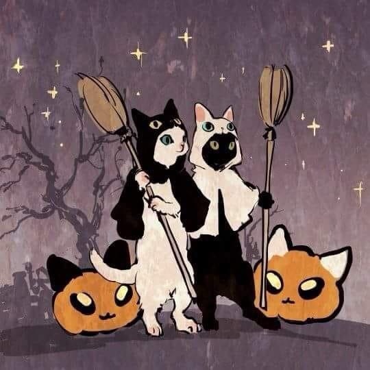 Two anthropomorphic cats dressed as witches, each holding a broomstick, stand against a starry night sky with bare trees…