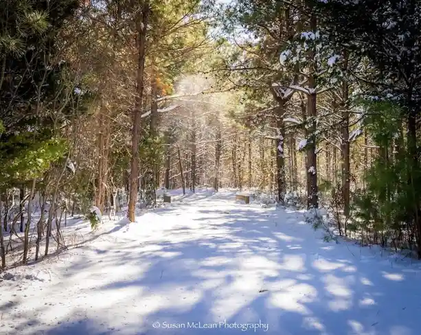 A Serene Snowy Path Awaits Your Footsteps
