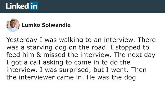 A LinkedIn post by Lumko Solwandle shows a text story about a person who missed an interview to feed a starving dog, only to…