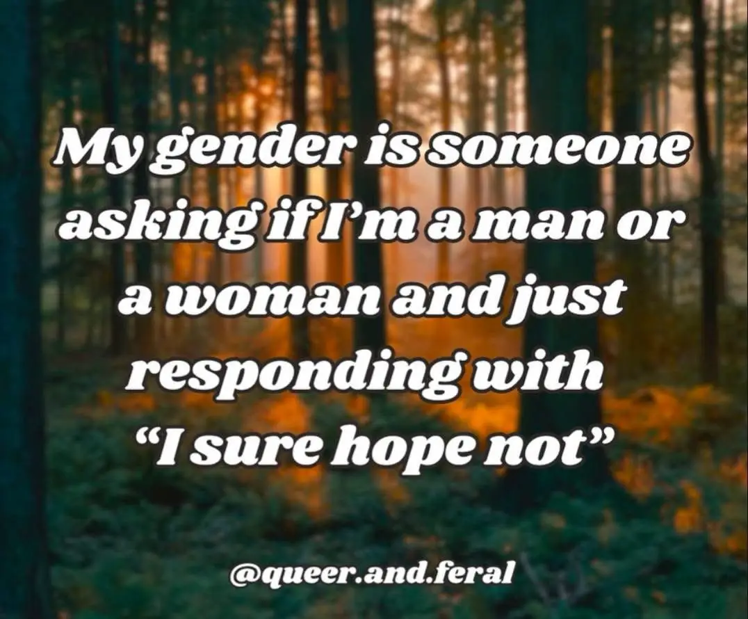 A serene forest scene with tall trees and golden light filtering through, overlaid with white text that reads: 'My gender is…