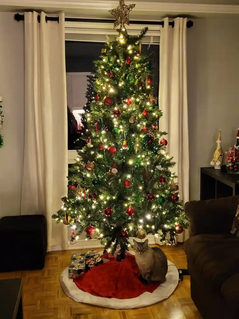 A gray tabby cat sits calmly on a red and white tree skirt at the base of a fully decorated, lit Christmas tree with red and…