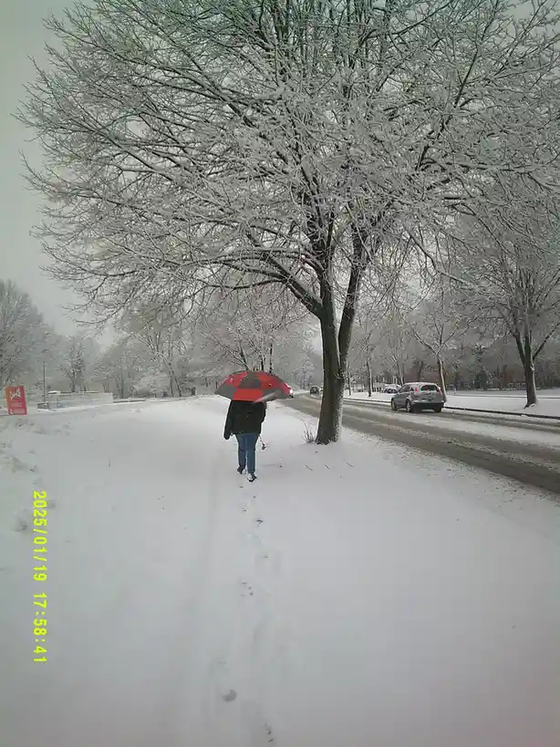 A person walks away from the camera down a snow-covered sidewalk, holding a red and black umbrella. The scene is a winter…