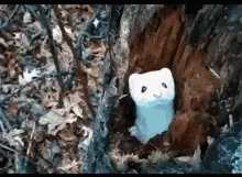 A sequence of six images shows a cartoon ferret peeking out of a tree hole, then disappearing as the hole becomes darker and…