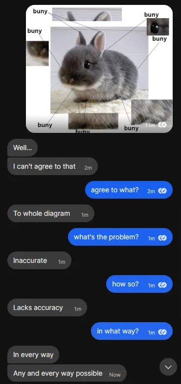 A gray rabbit is shown with multiple lines pointing to various parts of its body, each labeled 'buny'. Below is a chat…